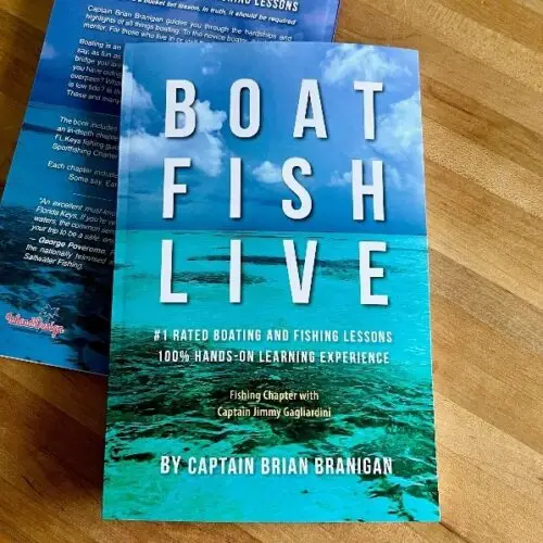 Boat Fish Live