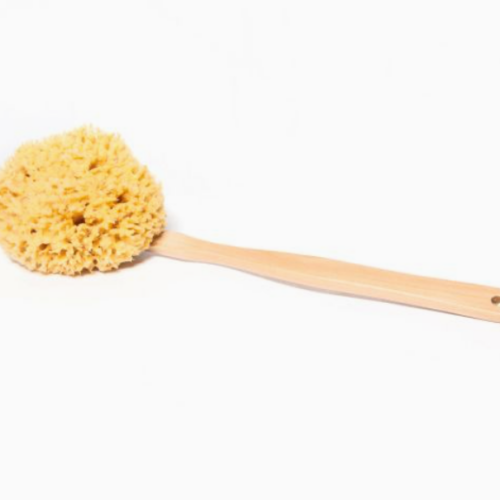 Wood Sponge Shower Stick